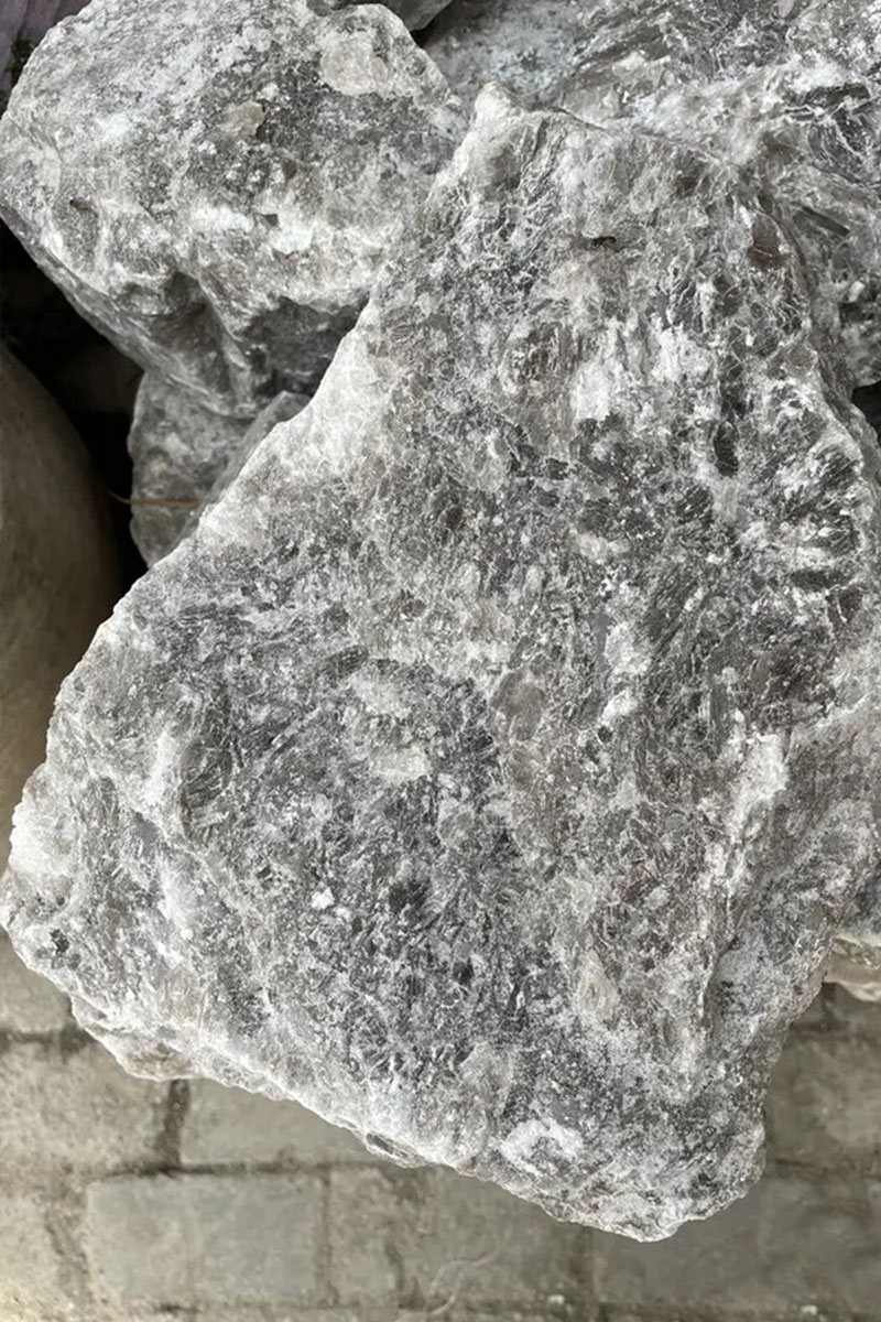 Sal-Vigua-Sal-Gris-1